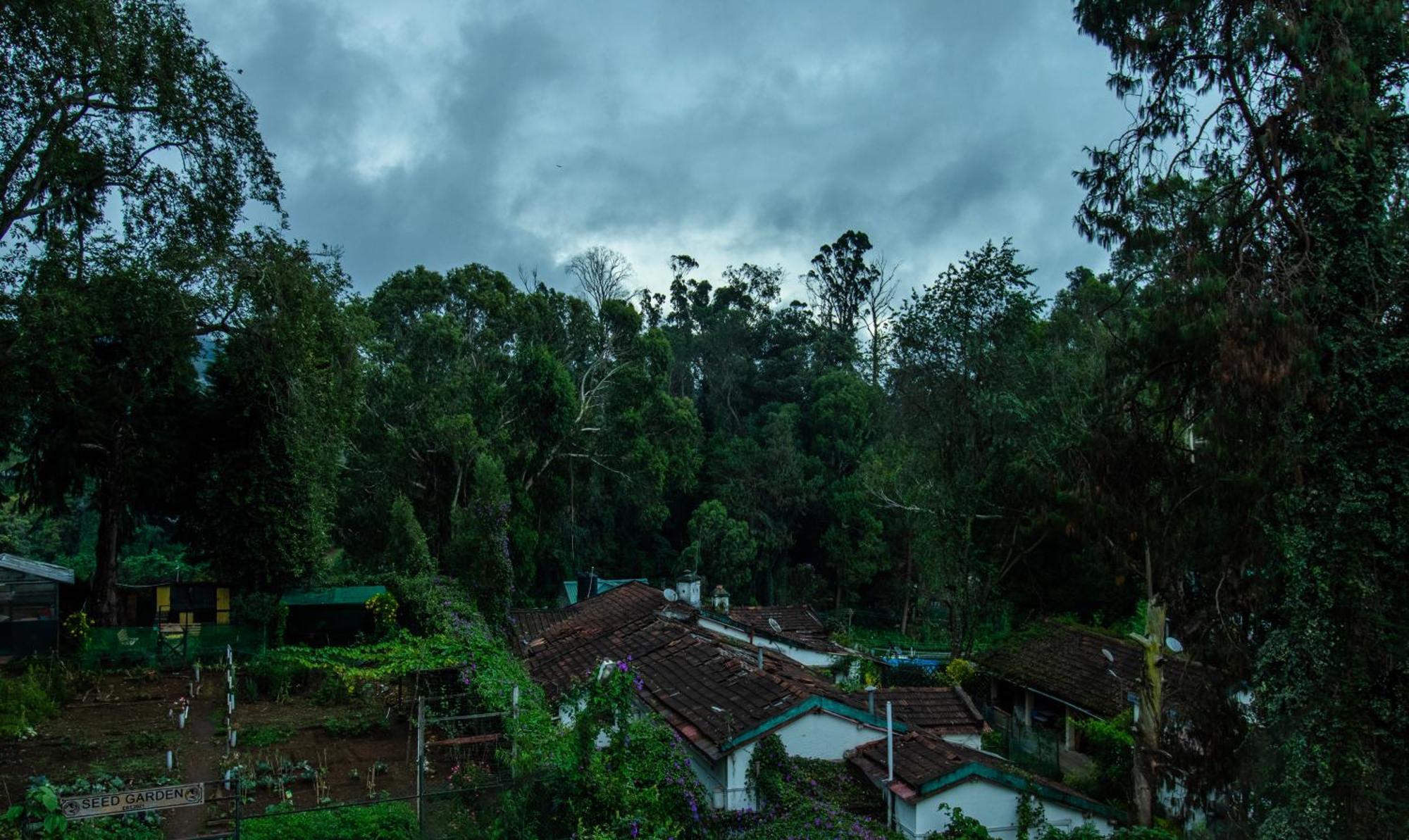 Treebo Kodai Kings Park, 650 M From Kodai Lake Kodaikanal Εξωτερικό φωτογραφία